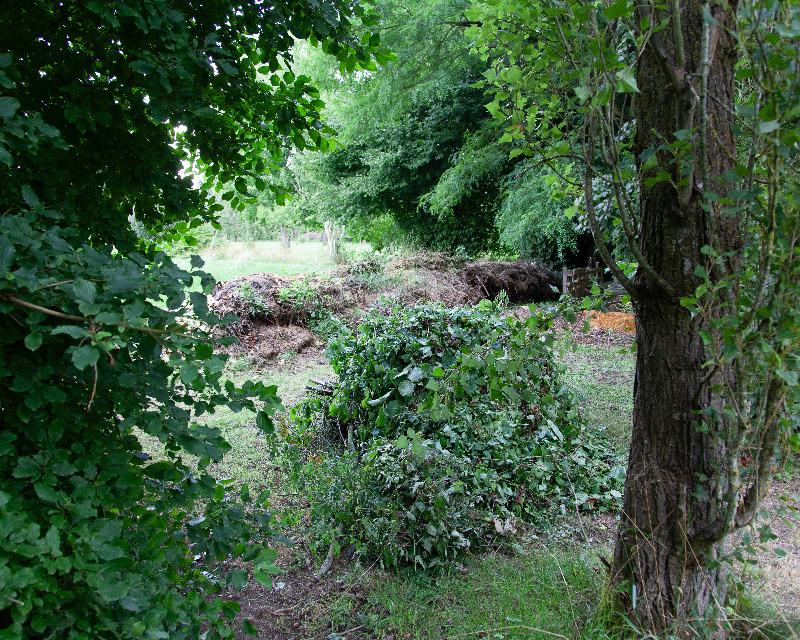 Milieux ligneux